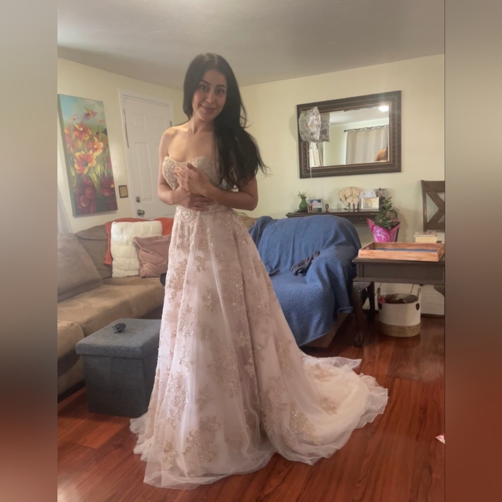 Oleg Cassini Blush Pink Beaded Sweetheart Gown